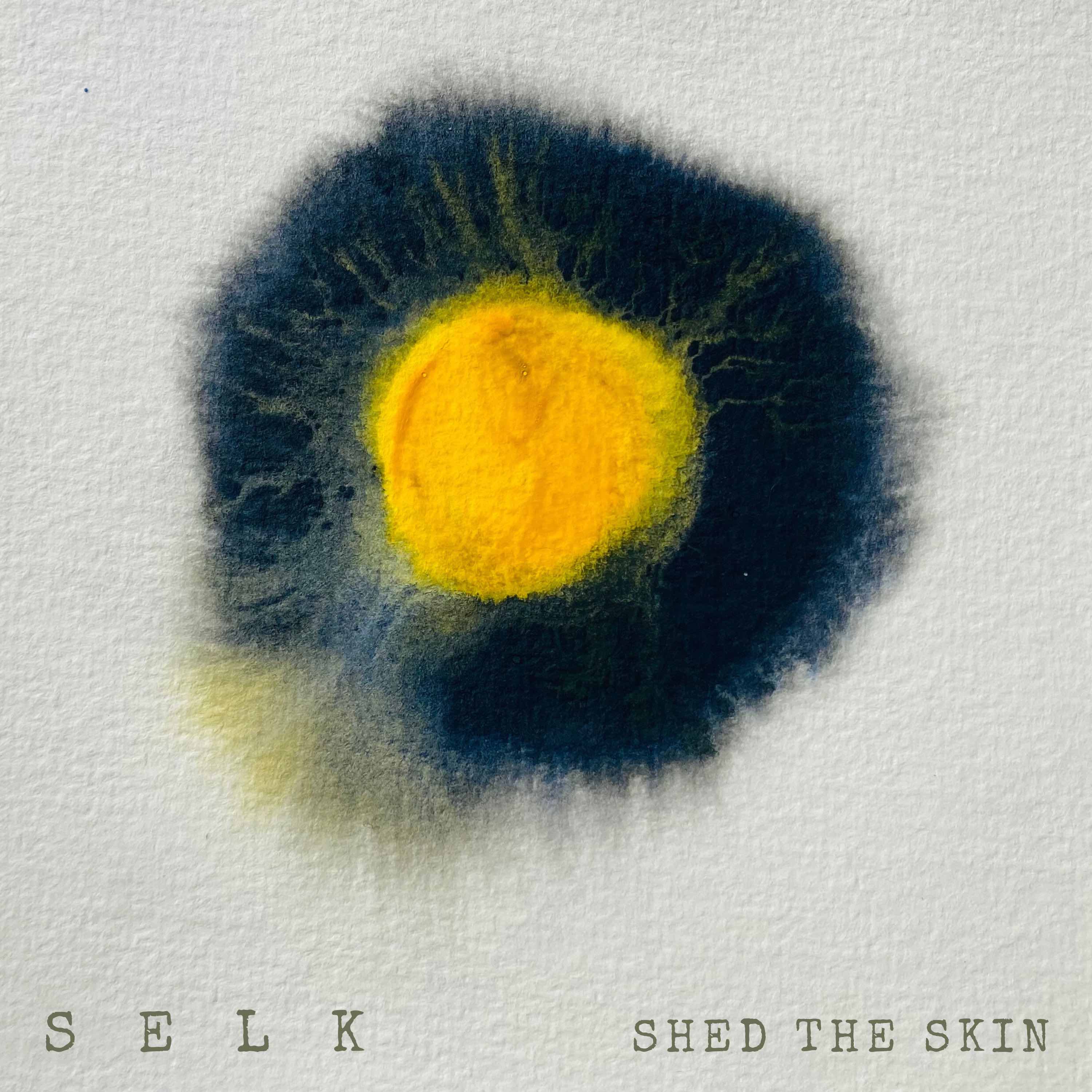 ALBUM REVIEW: Shed the Skin by Selk