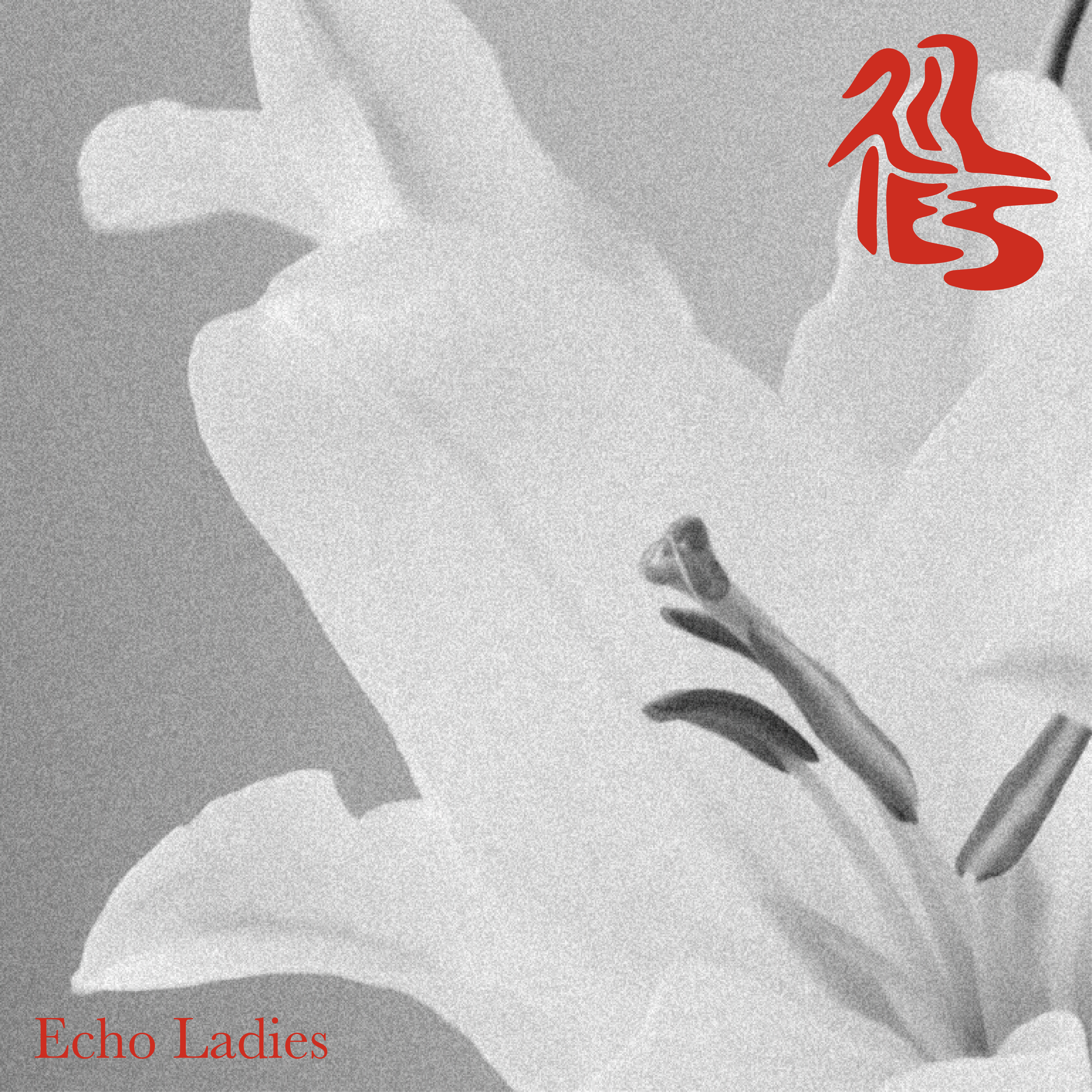 ALBUM REVIEW: Lilies by Echo Ladies
