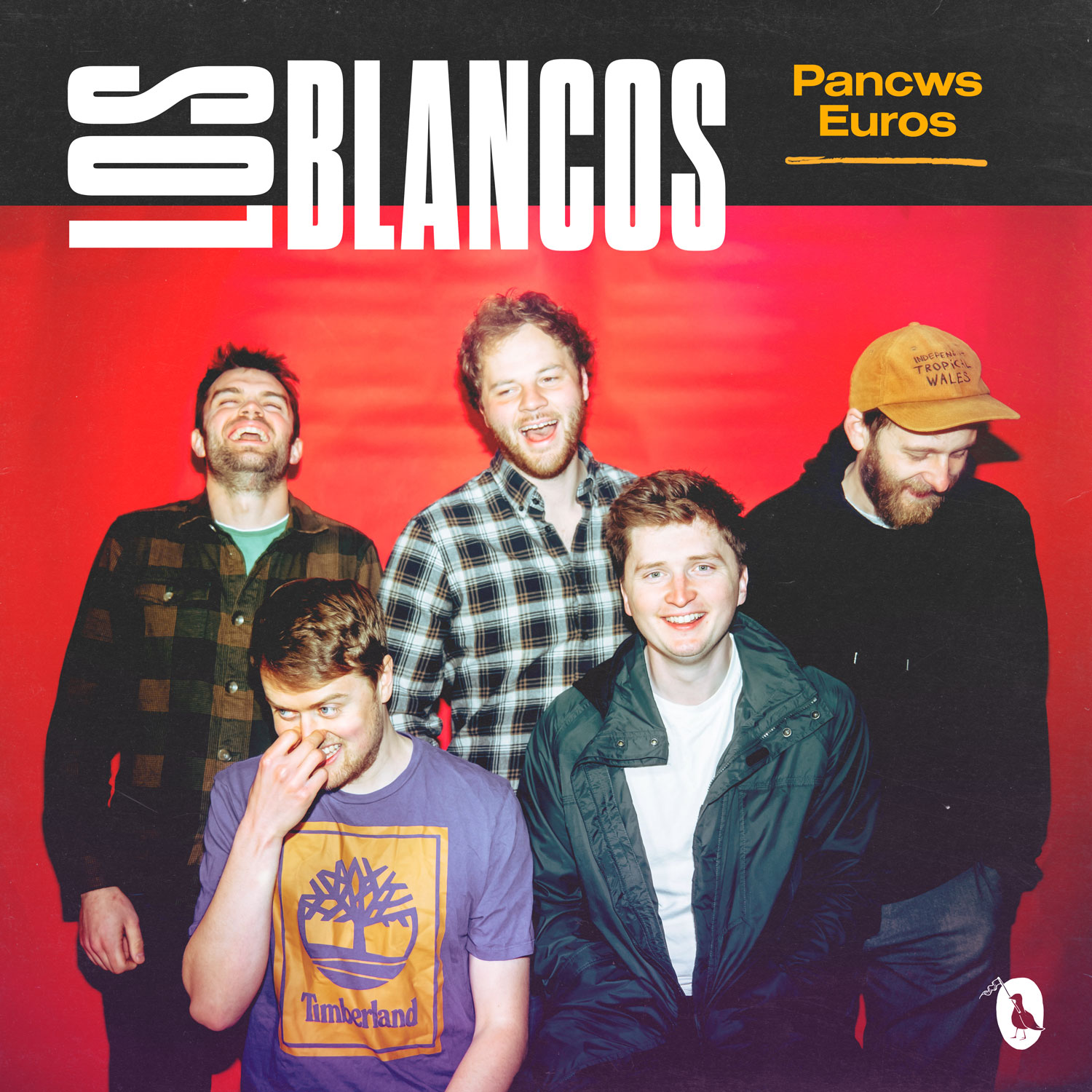 LISTEN: “Pancws Euros” by Los Blancos