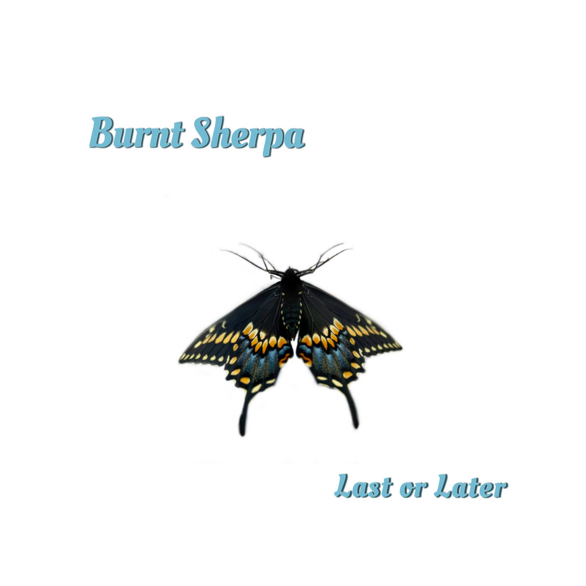 DEBUT EP REVIEW: Last or Later by Burnt Sherpa