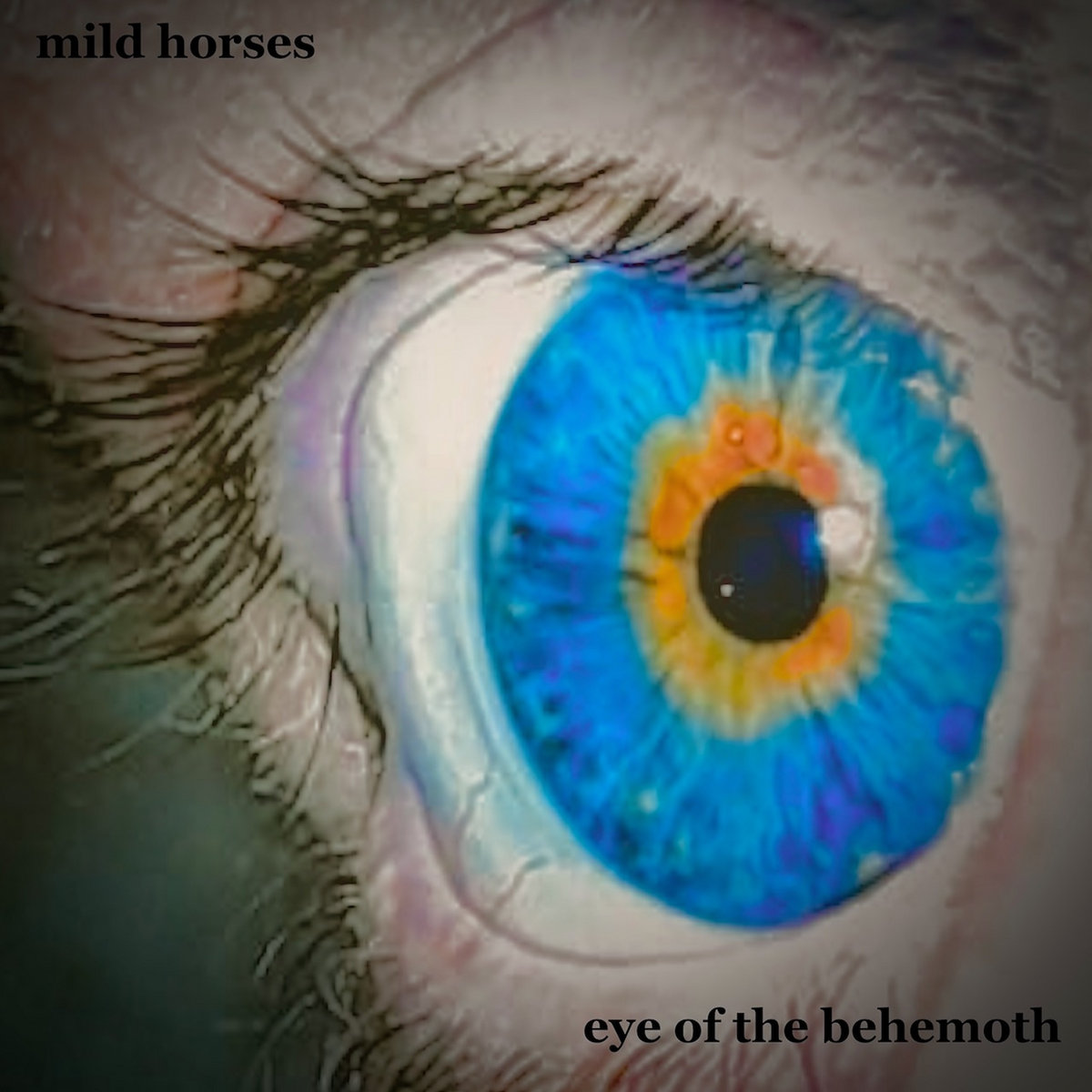 LISTEN: “Eye Of The Behemoth” by Mild Horses