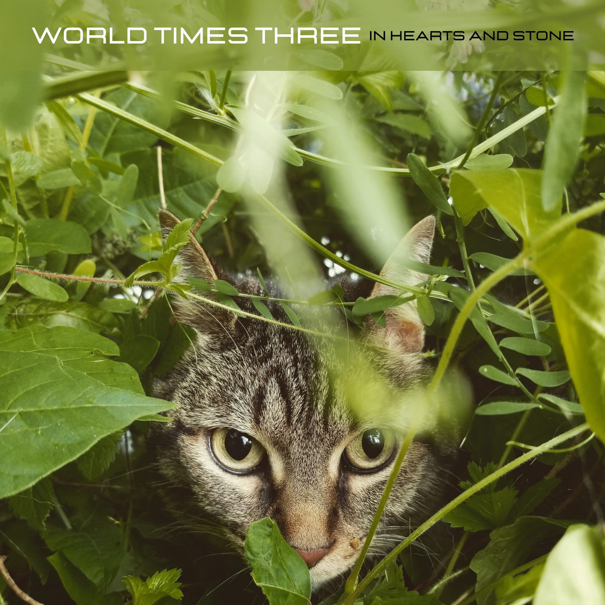 DEBUT ALBUM REVIEW: In Hearts and Stone by World Times Three