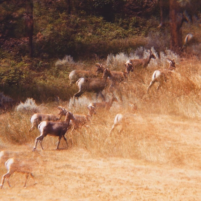 EP REVIEW: Narrow Bridge by Stan Simon