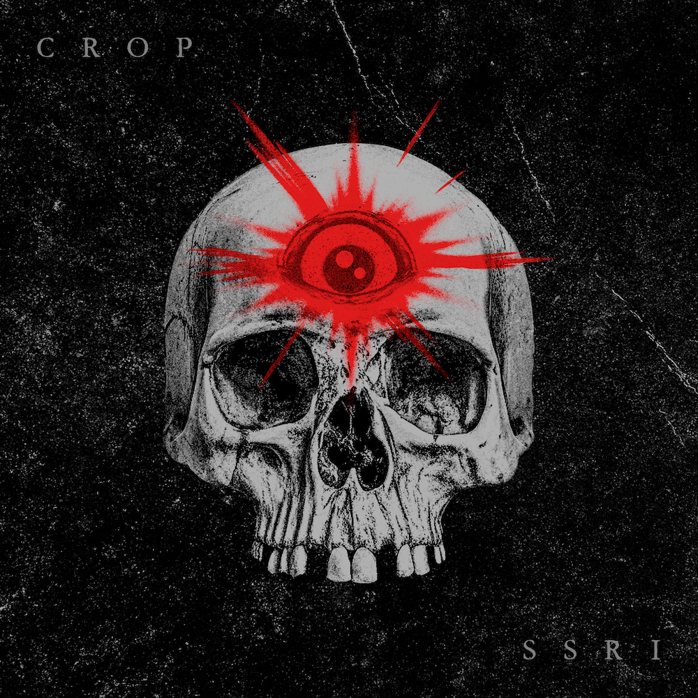 ALBUM REVIEW: S.S.R.I by Crop
