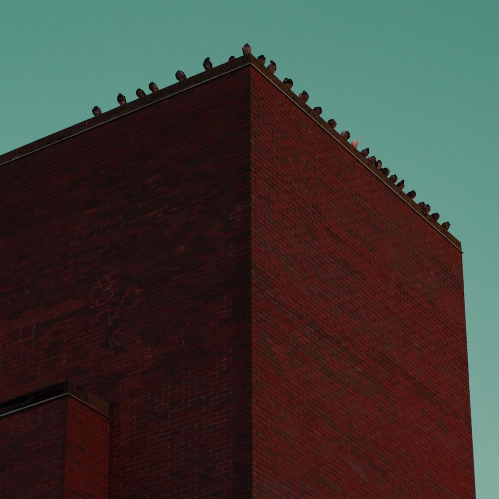 EP REVIEW: Suspect Your Elders by Last Hyena